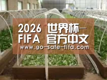 环境展示五