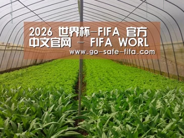 种植基地四