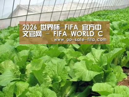 种植基地一