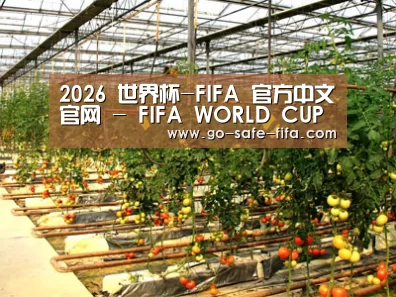 种植基地二(图1)