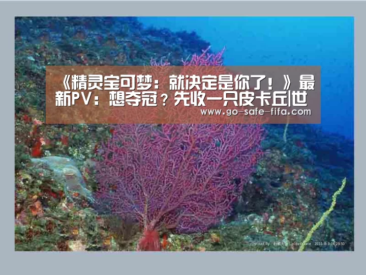 世界杯买球